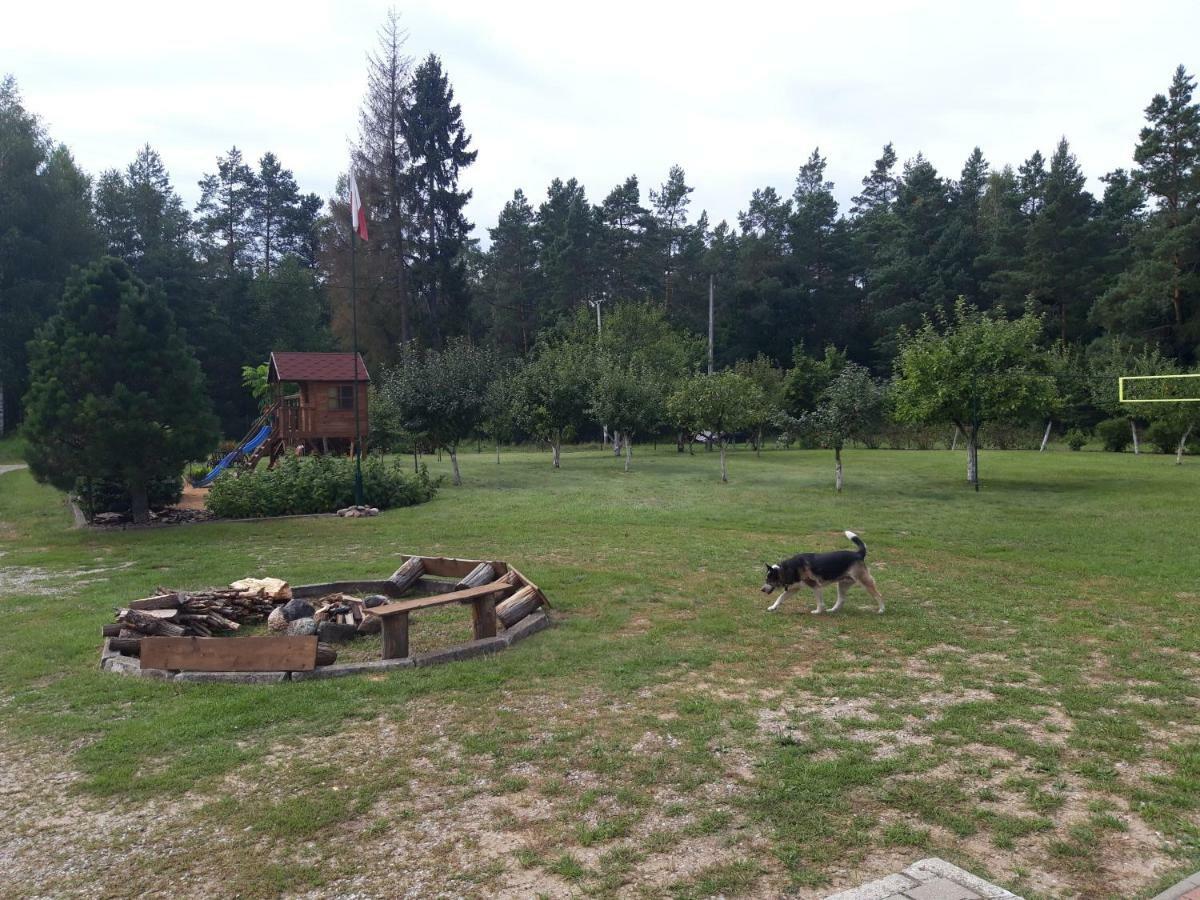 Pokoje W Lesie Miłomłyn Exteriör bild